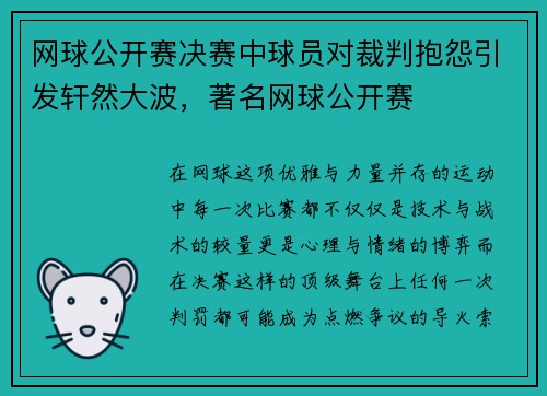 网球公开赛决赛中球员对裁判抱怨引发轩然大波,著名网球公开赛
